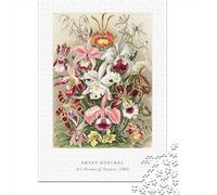 1000-Piece Jigsaw Puzzle for Adults, Ernst Haeckels Orchids Art Forms of Nature, 70x50cm/1000pcs, Indoor Family Activity, Weekend Leisure And Weekend Downtime
