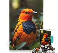 1000 Piece Jigsaw Puzzle for Adults Flame Bowerbird Exotic, Brain Teaser Game, Home Art Decor, Unique Gifts for Birthday And Christmas 38x52cm