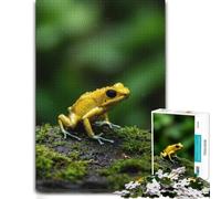 1000 Piece Jigsaw Puzzle for Adults, Golden Poison Frog on Mossy Branch