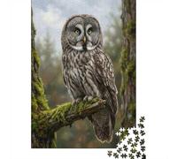 1000 Piece Jigsaw Puzzle for Adults, Great Grey Owl Perched on Mossy Branch, 70x50cm/1000pcs, Idea, Family Activity And Cosy Winter Evenings