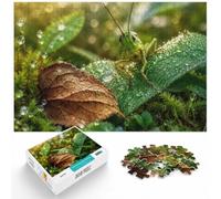 1000 Piece Jigsaw Puzzle for Adults, Green Grasshopper on Leaf | For longer puzzle sessions: Adult jigsaw puzzle with 1000 pieces is suited to quiet evenings and weekend relaxation.
