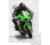 1000 Piece Jigsaw Puzzle for Adults, Green Ninja Motorcycle Art Print, 52x38cm/1000pcs, Idea, Screen-Free Activity And Quiet Winter Weekends