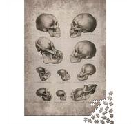 1000 Piece Jigsaw Puzzle for Adults, Human Monkey and Ape skull