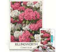 1000 Piece Jigsaw Puzzle for Adults Killingworth Connecticut, Brain Teaser Game, Home Art Decor, Unique Gifts for Birthday And Christmas 38x26cm
