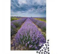 1000 Piece Jigsaw Puzzle for Adults, Lavender Field Under Stormy Skies