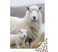 1000 Piece Jigsaw Puzzle for Adults, Mother Sheep And Lamb in Field, 52x38cm/1000pcs, Shared Puzzle Activity, Quiet Home Time And Weekend Downtime
