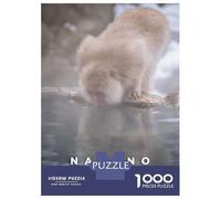 1000 Piece Jigsaw Puzzle for Adults Nagano Monkey Park Jigsaws for Adults Family Game Analysis And Logic Difficult And Challenge 38x26cm/1000pcs