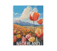 1000 Piece Jigsaw Puzzle for Adults，Netherlands，Wooden Puzzle - for Adults Teens Educational Toys Gifts（75x50cm）-HF100
