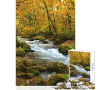 1000 Piece Jigsaw Puzzle for Adults Oirase River Flow in Autumn Forest Fun Interactive Family Experience Wonderful Holiday Giftsing Choice (38x52cm)