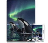 1000 Piece Jigsaw Puzzle for Adults Orcas Under The Aurora Borealis Perfect for Calm Leisure Hours High Grade Precise Cut Play Toy Size 50x75cm