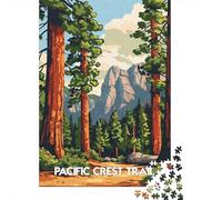 1000 Piece Jigsaw Puzzle for Adults, Pacific Crest Trail Landscape, 38x26cm/1000pcs, Idea, Screen-Free Activity And Family Time at Home