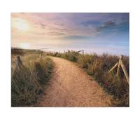 1000 Piece Jigsaw Puzzle for Adults，Path on the Dune with View of the North Sea Beach, Vlissingen，wooden Puzzle - for Adults Teens Educational Toys Gifts（75x50cm）-X80
