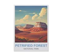 1000 Piece Jigsaw Puzzle for Adults，Petrified Forest National Park，Paper Puzzle - for Adults Teens Educational Toys Gifts（38x52cm）-EQ80