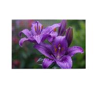 1000 Piece Jigsaw Puzzle for Adults,Purple Lily Flowers, Puzzles with Letters on Back, Challenging Puzzle for Game Night Home Décor, 19.7 x 29.5
