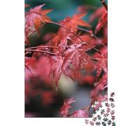1000 Piece Jigsaw Puzzle for Adults, Red Maple Leaves with Water Droplets | For a Christmas gift idea for puzzle fans: Adult jigsaw puzzle with 1000 pieces creates puzzle time on colder days.