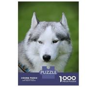 1000 Piece Jigsaw Puzzle for Adults Siberian Husky Adult Jigsaw Puzzle Toy Wall Decor Precision Cutting Unique Gifts for Birthday And Christmas 38x26cm/1000pcs