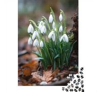 1000 Piece Jigsaw Puzzle for Adults, Snowdrops in a Forest Setting