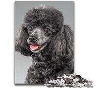 1000 Piece Jigsaw Puzzle for Adults Teens Poodle 1000 Pieces for Adults,Challenging Game for Is Ideal As A Gift for The Whole Family (75x50cm)