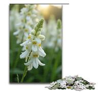 1000 Piece Jigsaw Puzzle for Adults The Snow-white Reeds Sway in The Wind Puzzle GamePerfect Decoration for Teens Age 14 Years Up 1000 PCS(75x50cm)