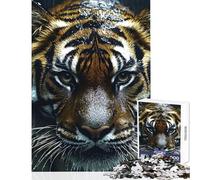 1000 Piece Jigsaw Puzzle for Adults Tiger in The Rain Close-Up Impossible Game Tough Challenge DIY Toys Enhance Love between Couples (50X75cm)