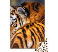 1000-Piece Jigsaw Puzzle for Adults, Tiger's Intense Gaze, 70x50cm/1000pcs, Shared Puzzle Activity, Quiet Home Time And Time Together