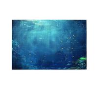1000 Piece Jigsaw Puzzle for Adults,Underwater Ocean View, Puzzles with Letters on Back, Challenging Puzzle for Game Night Home Décor, 19.7 x 29.5