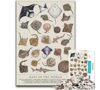 1000 Piece Jigsaw Puzzle for Adults, Various Rays of the World | A New Year gift for adults on quiet New Year evenings for calm focus.