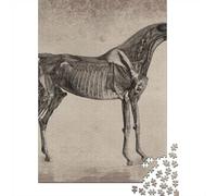 1000 Piece Jigsaw Puzzle for Adults, Vintage Horse Anatomy