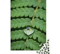 1000 Piece Jigsaw Puzzle for Adults, Water Droplet on A Fern Leaf, 70x50cm/1000pcs, Shared Puzzle Activity, Relaxing Evenings And Weekend Downtime