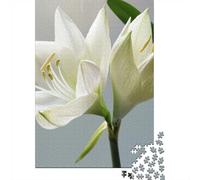 1000 Piece Jigsaw Puzzle for Adults, White Amaryllis Flower Close-Up