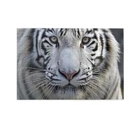 1000 Piece Jigsaw Puzzle for Adults,White Tiger-, Puzzles with Letters on Back, Challenging Puzzle for Game Night Home Décor, 19.7 x 29.5