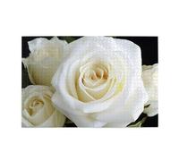 1000 Piece Jigsaw Puzzle for Adults Wooden Challenging Puzzles Custom Personalized White Rose Picture Puzzle for Adults & Kids Family Game Nights 29.5"x19.7" Puzzles