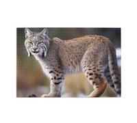 1000 Piece Jigsaw Puzzle for Adults Wooden Challenging Puzzles Custom Personalized Wild Bobcat Picture Puzzle for Adults & Kids Family Game Nights 29.5"x19.7" Puzzles