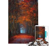 1000 Piece Jigsaw Puzzle for Teenagers Autumn Forest Path Puzzle For Teenagers Enhance Memory Help The Brain Exercise Educational Family Game (Size 50x75cm)