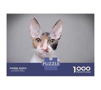 1000 Piece Jigsaw Puzzle for Teenagers Cornish Rex Cat Jigsaw for Adults Family Games Presents for Women Christmas Birthday Gifts 38x26cm/1000pcs