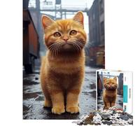 1000 Piece Jigsaw Puzzle for Teenagers Ginger Cat in Urban Setting Help The Brain Exercise Birthday Present Toy Wall Decor for And from 14 Years And over (38x26cm)