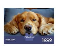 1000 Piece Jigsaw Puzzle for Teenagers Golden Retriever Resting on Gray Couch Jigsaw for Adults Family Game Analysis And Logic Fun Activities at Home 70x50cm/1000pcs