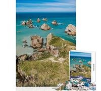 1000 Piece Jigsaw Puzzle for Teenagers Nugget Point Impossible Game Wall Decoration Educational Toy Fun at Home Activities, (38x52cm)