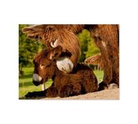 1000 Piece Jigsaw Puzzle，Harmony between donkey, mare and foal，Adults Children Wooden Toy Educational Game（75x50cm）-F65
