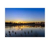 1000 Piece Jigsaw Puzzle, Icy Lake Canvasback Ducks Sunset, Family Puzzle | wooden puzzles,Challenging brain games for adults & teens, ideal for home decor, game nights and family fun.19.7x29.5inch