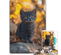 1000 Piece Jigsaw Puzzle, Kitten with Bright Orange Eyes in Autumn
