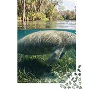 1000 Piece Jigsaw Puzzle, Manatee Swimming in Florida, 38x26cm/1000pcs, for Adults, Thoughtful Gift Idea, Screen-Free Leisure And Time at Home