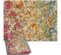 1000 Piece Jigsaw Puzzle - Natural History Museum - All styles of Sea Shells - Large puzzle 66 x 50 cm