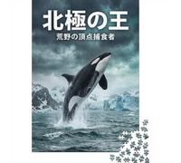 1000 Piece Jigsaw Puzzle, Orca Leaping in Arctic Waters, 38x26cm/1000pcs, for Adults, Family Activity, Time Around The Table And Weekend Downtime