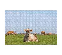 1000 Piece Jigsaw Puzzle Portrait Of A Jersey Cow With Calm Pretty Face And Black Nose A Herd Puzzles For Adults Educational Games Wooden Jigsaw Puzzles Family Games Teens Fun Puzzles