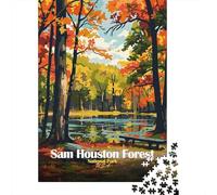 1000 Piece Jigsaw Puzzle, Sam Houston Forest National Park, 38x26cm/1000pcs, for Adults, Thoughtful Gift Idea, Screen-Free Leisure And Time at Home