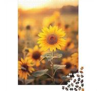 1000 Piece Jigsaw Puzzle, Sunflower Field Sunset, 52x38cm/1000pcs, for Adults, Idea, Family Activity And Holiday Downtime