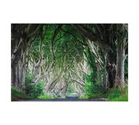 1000 Piece Jigsaw Puzzle The Dark Hedges County Antrim Ireland Puzzle Sets Family Games Sustainable Puzzle For Adults Gift Jigsaw Puzzles For Teens