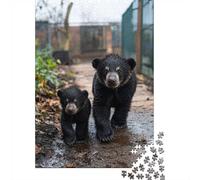 1000 Piece Jigsaw Puzzle, Two Wet Bear Cubs Walking, 70x50cm/1000pcs, for Adults, Relaxing Winter Hobby, Home Relaxation And Cosy Evenings