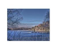 1000 piece jigsaw puzzle，Winter landscape，Wooden Jigsaw Puzzle Toys Uniquely shaped jigsaw puzzles Cool jigsaw puzzles are the best gift for adults and kids jigsaw puzzles（75x50cm）-R5